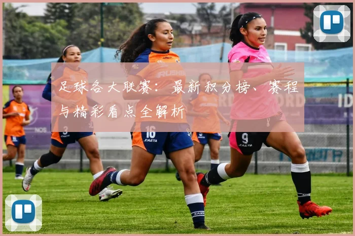 足球各大联赛:最新积分榜、赛程与精彩看点全解析